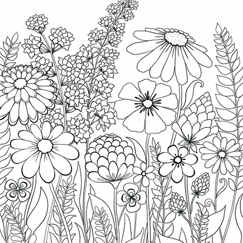 Bella Wildflower Coloring Page