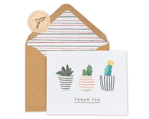 Succulents Boxed Thank You Cards and Envelopes 20-Count