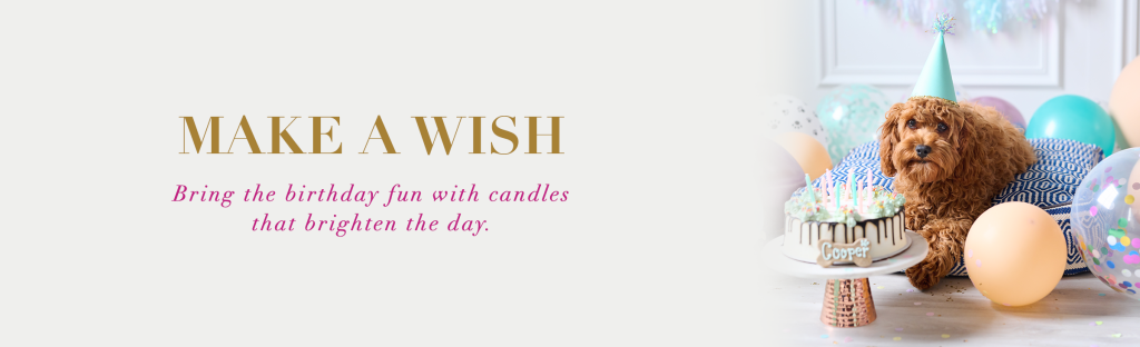 Make a Wish Bring the birthday fun with candles that brighten the day. 
