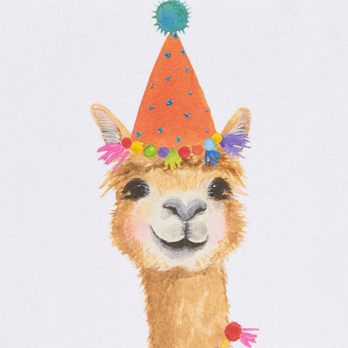 party hat llama wallpaper
