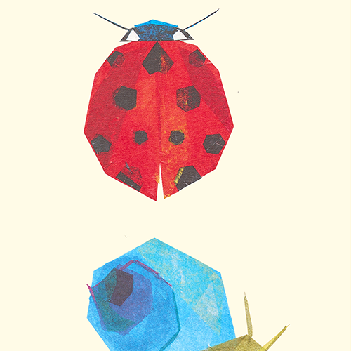 insect wallpaper